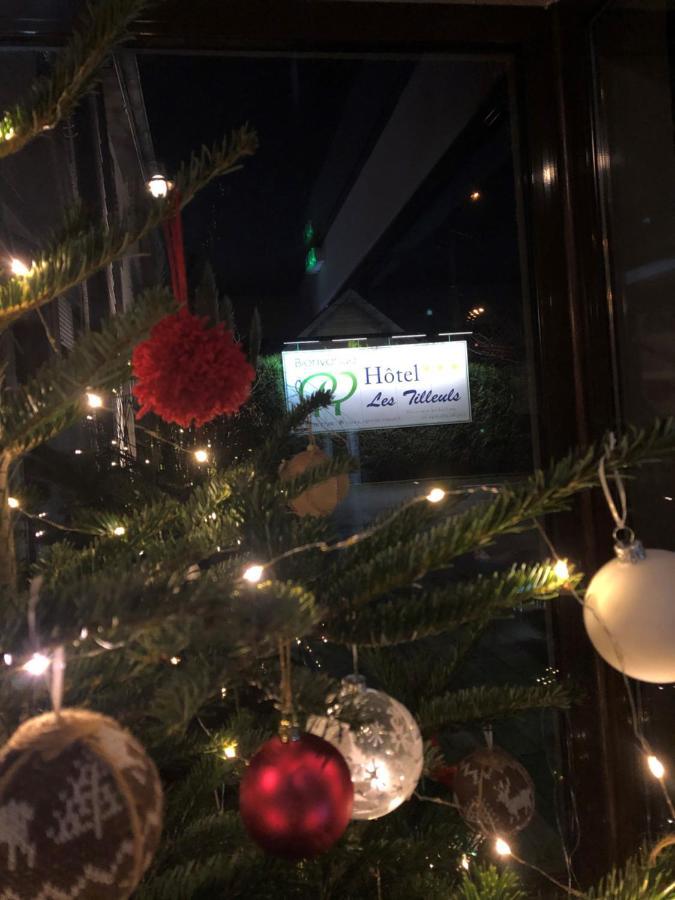 Les Tilleuls Montbeliard Sud オダンクール エクステリア 写真